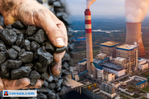 tác động của giá than đá