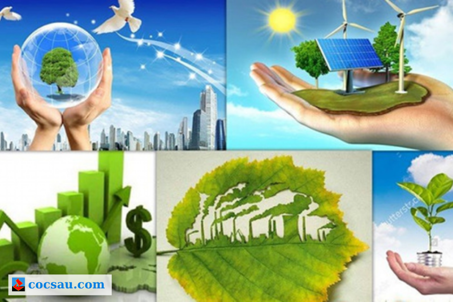 Ủng hộ chuyển dịch năng lượng xanh